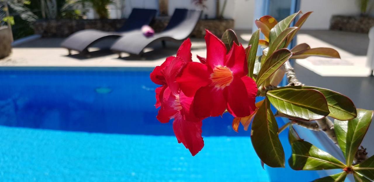 Villa Paradise, Pool And Sea View Чавенг Бийч Екстериор снимка